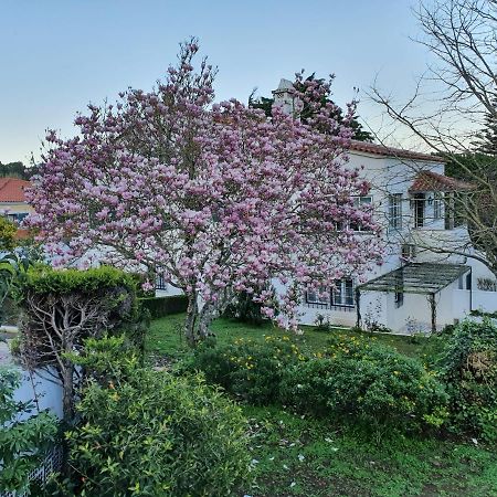 Comfy Sintra Bed & Breakfast Exterior photo