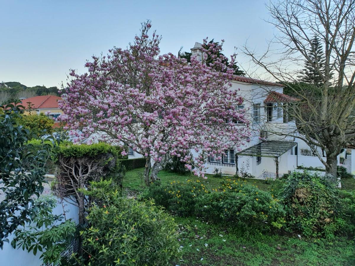 Comfy Sintra Bed & Breakfast Exterior photo