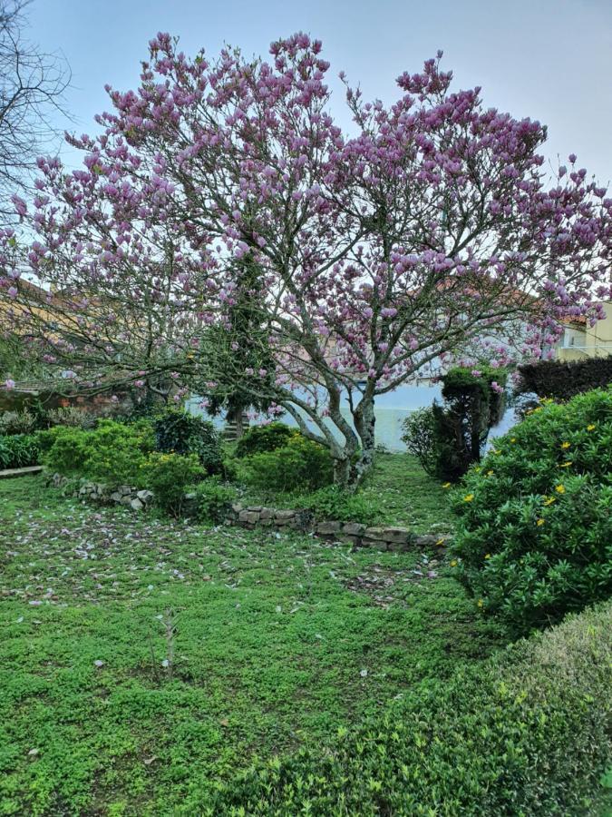 Comfy Sintra Bed & Breakfast Exterior photo